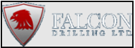 Falcon Drilling